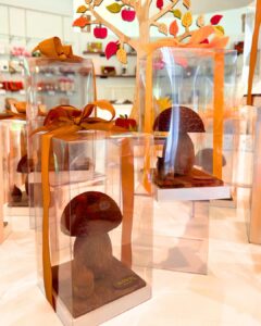 champignon chocolat Manon